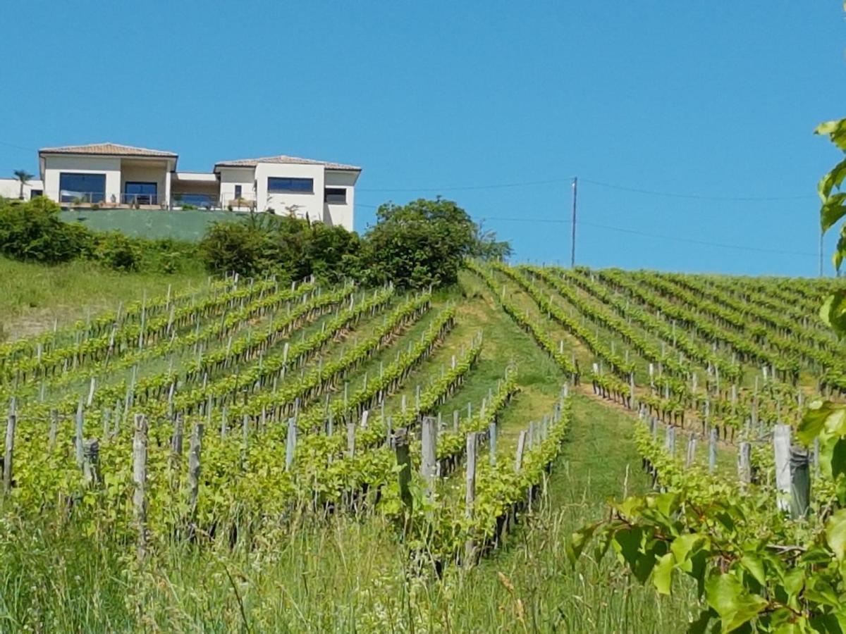 Gite Las Colina Rabastens Exterior foto